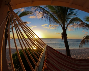 Dreamy Sunset