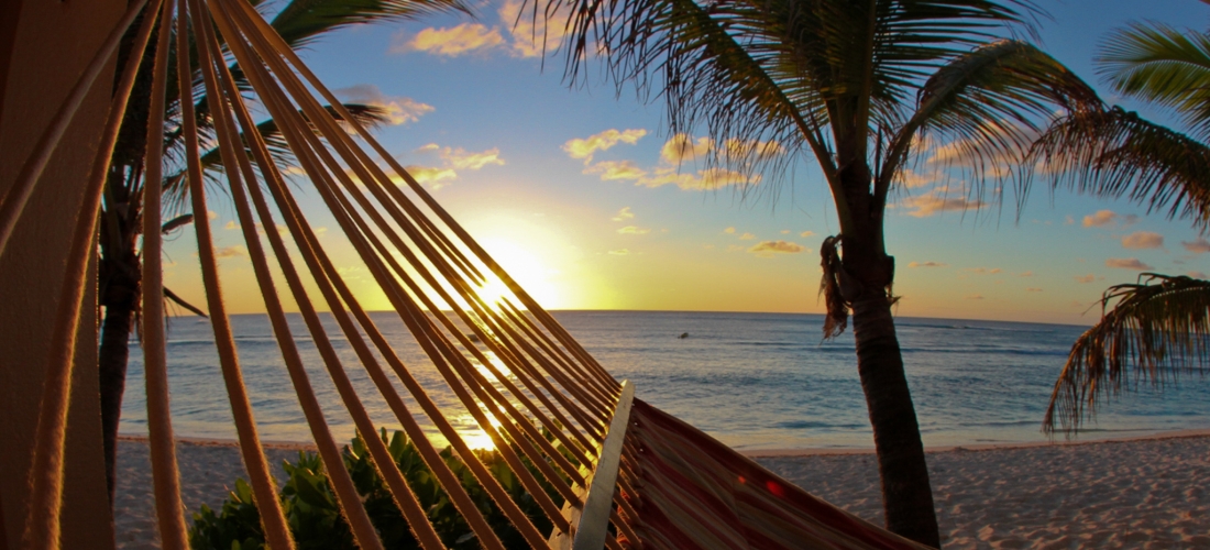 Dreamy Sunset